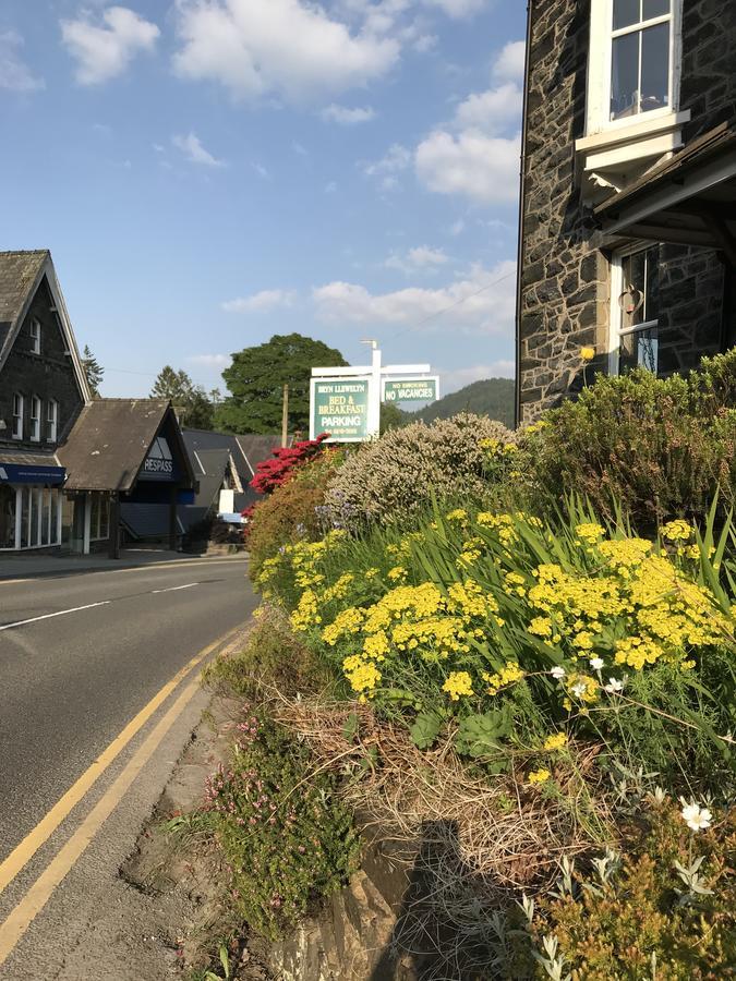 Bryn Llewelyn Bed & Breakfast Betws-y-Coed Bagian luar foto